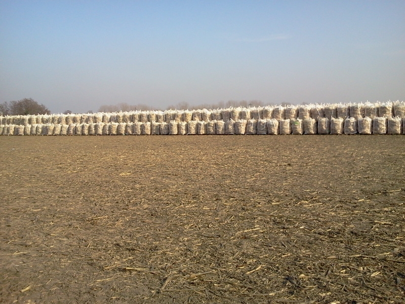 Neuer Holzplatz 1.JPG