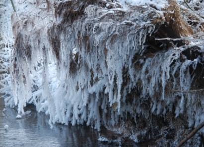 DSC_0882.jpg