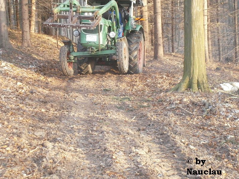 Rücken mit leichter V-Achse.jpg