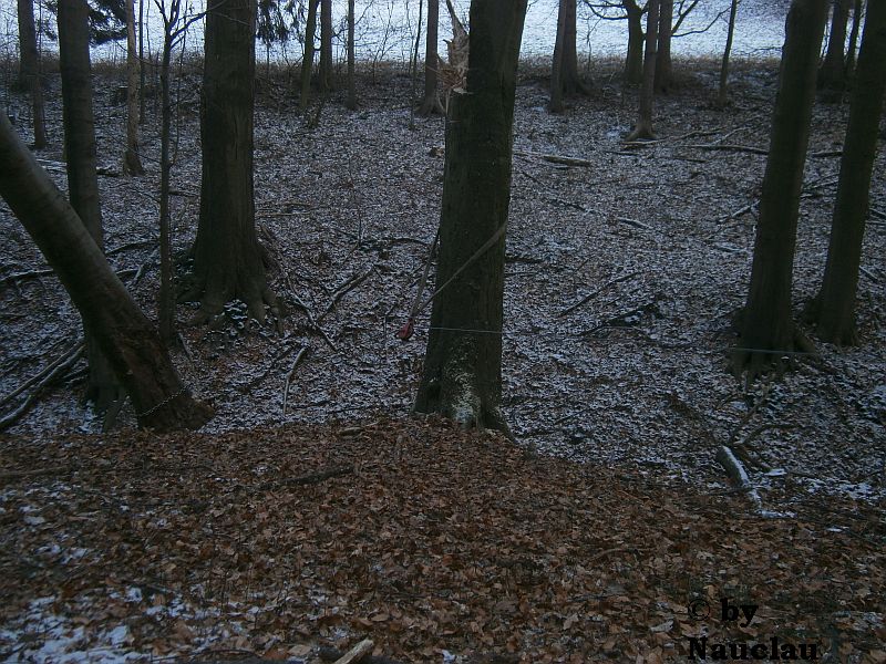 Nur noch runter ziehen.jpg