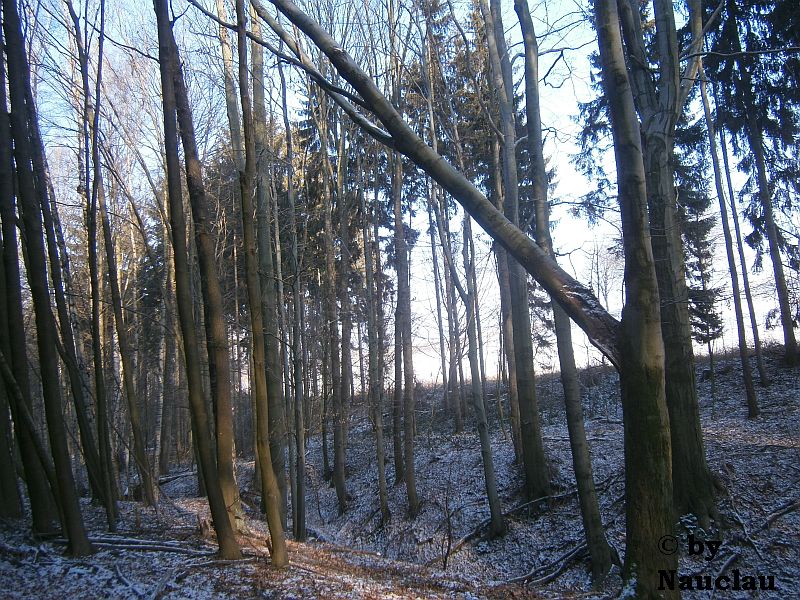 Unser Problem heute.jpg