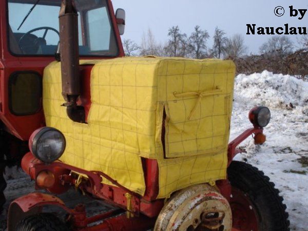 Russe mit Winterhaube.jpg