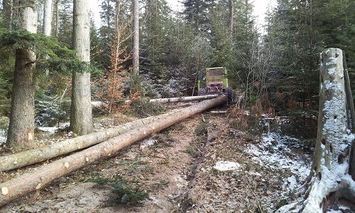 2012-02-11 10.39.13.jpg