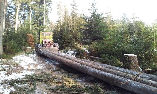 2012-02-11 11.50.40.jpg