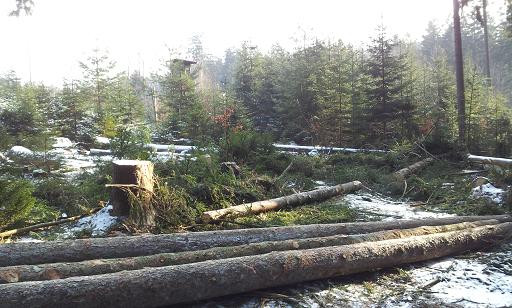 2012-02-11 11.50.45.jpg