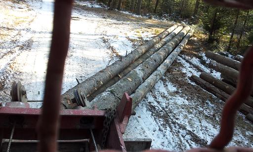 2012-02-11 13.29.08.jpg