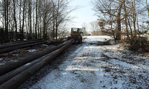 2012-02-11 13.31.53.jpg