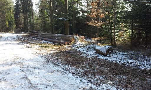 2012-02-11 13.31.59.jpg