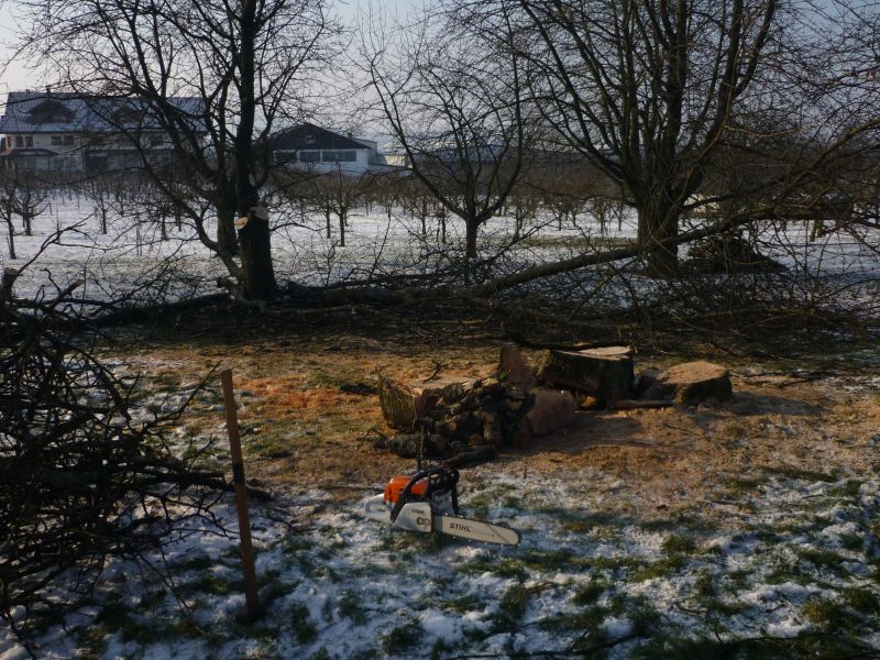 holzen samstag 2.jpg