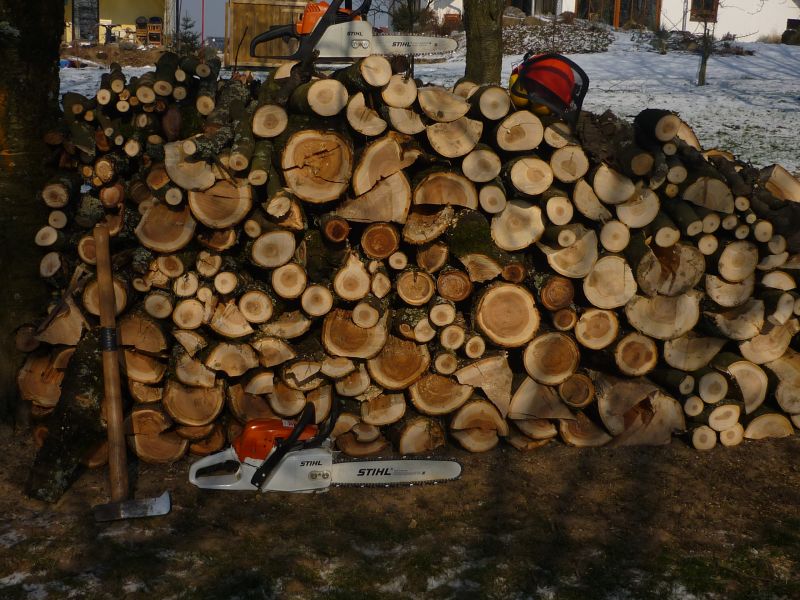 holzen samstag 5.jpg