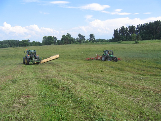 Heu 2010 037.jpg