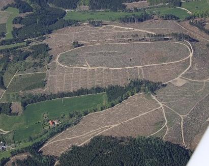 80 ha Kyrillschaden.JPG