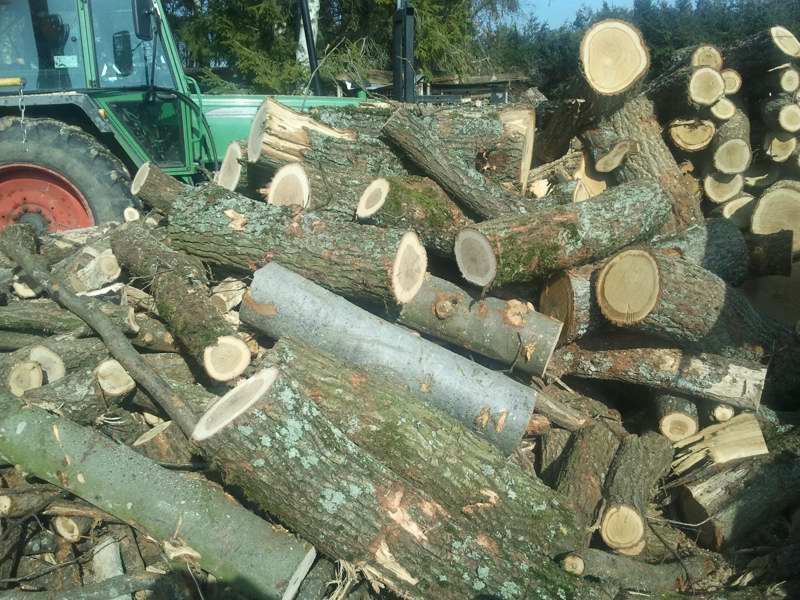 2012-03-03 10.47.14.jpg