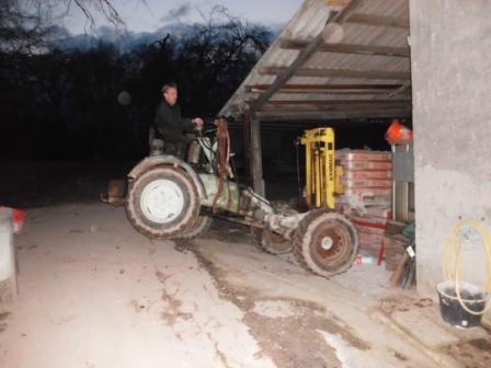 Stapler hebt ein Bein.jpg