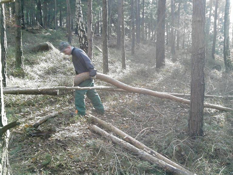 neuer Rückeschlepper.jpg