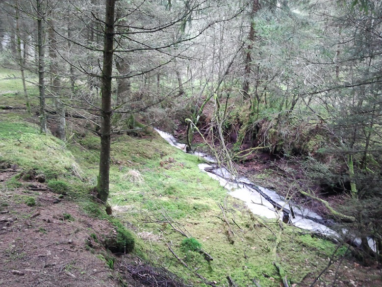 2012-03-13 15.29.06.jpg