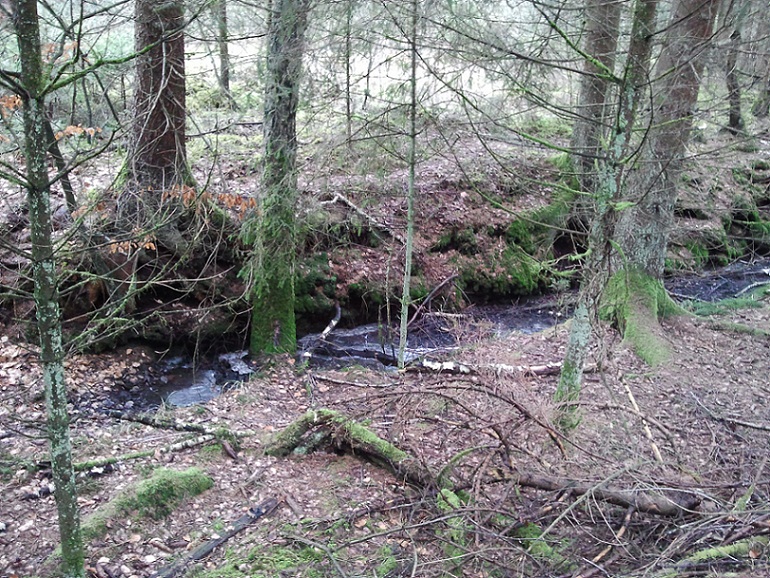 2012-03-13 15.29.15.jpg