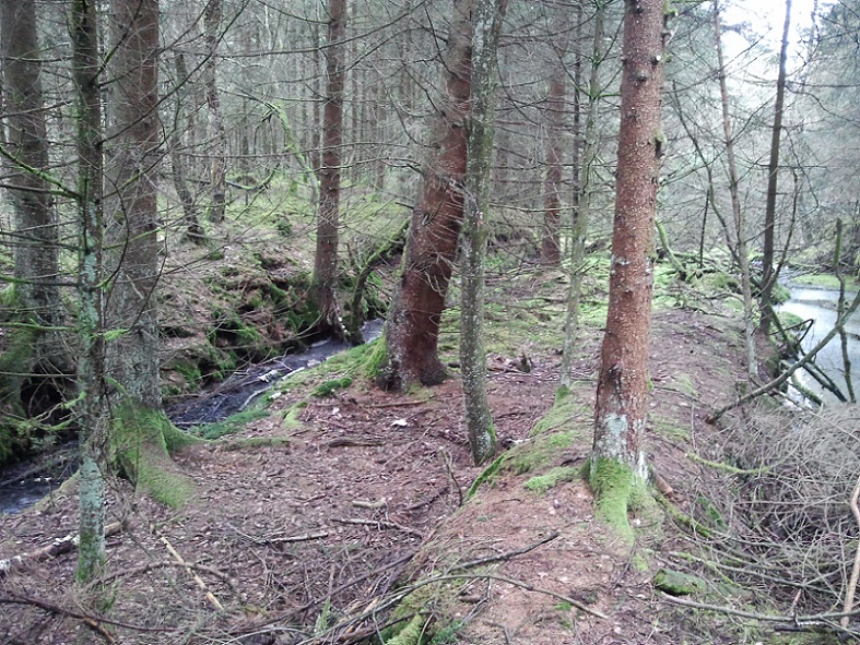 2012-03-13 15.29.22.jpg