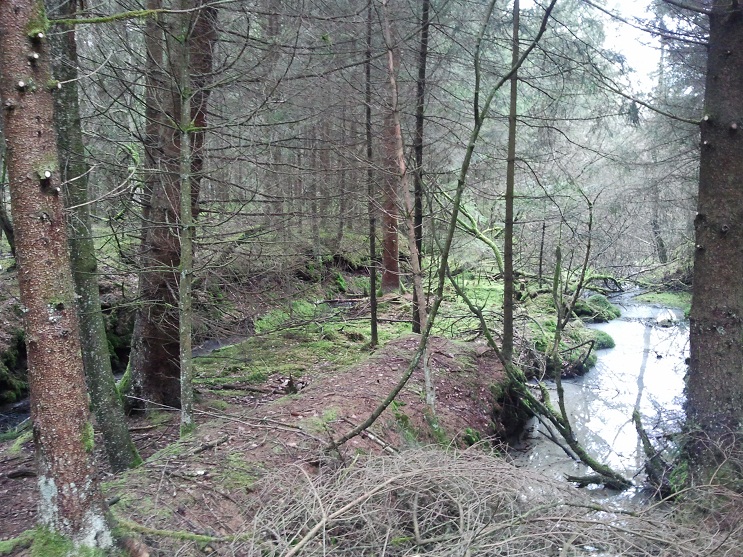 2012-03-13 15.29.30.jpg