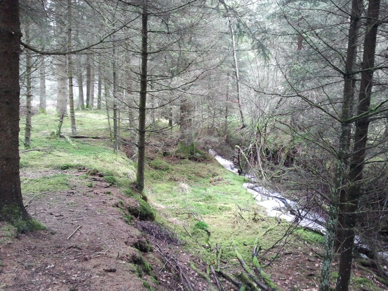 2012-03-13 15.29.41.jpg