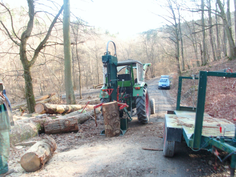 Spalten einer Eiche.jpg