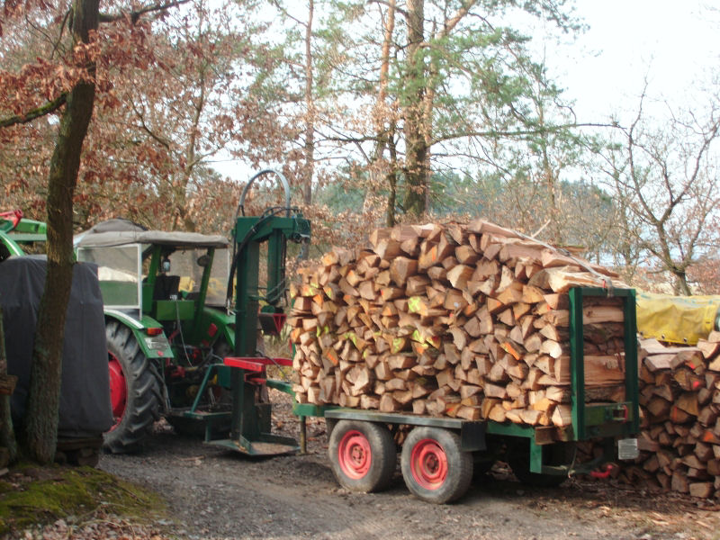 voller Anhänger.jpg