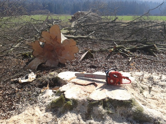 2012-03-22 11.13.16 (640x480).jpg