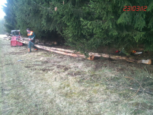 lange staÃàmme 2.jpg