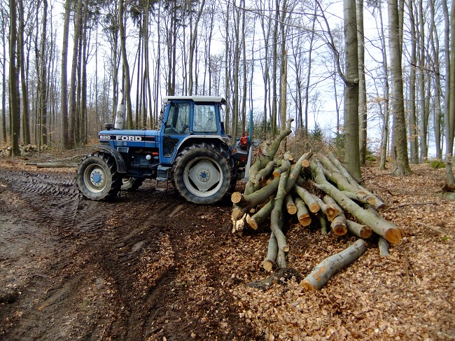 Holz 105 (44).JPG