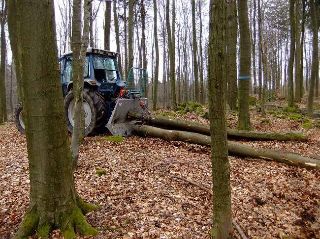 Holz 105 (43).JPG