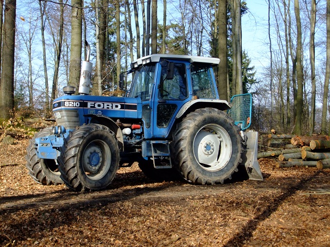 Holz 105 (38).JPG