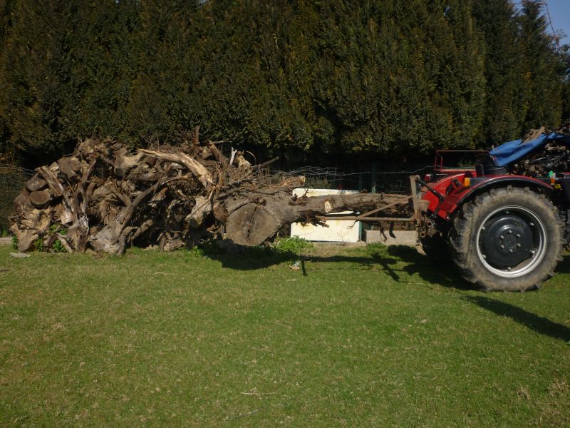 wurzel fahren.jpg