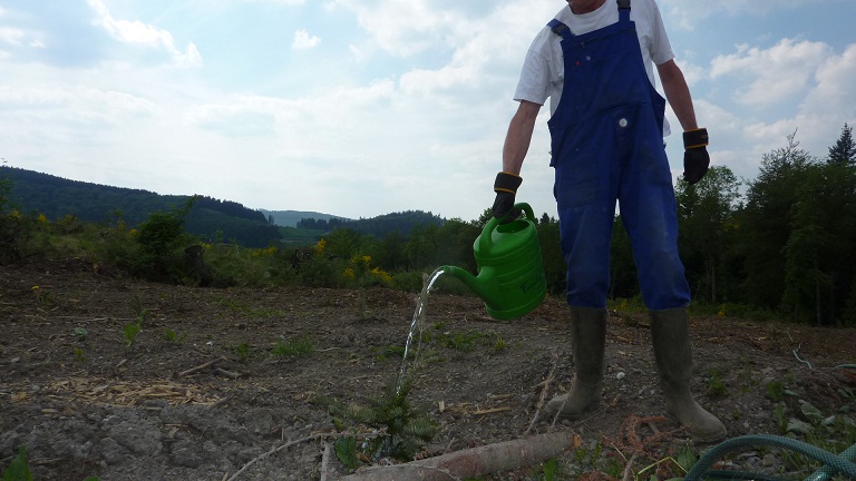 Wasser verteilen per Gießkanne.jpg