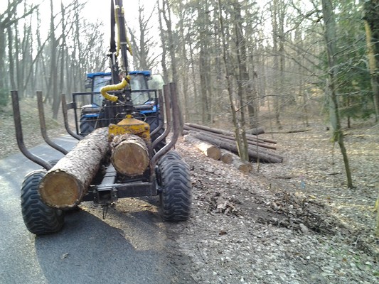 2012-04-03 07.57.32.jpg