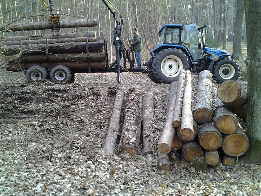 2012-04-03 08.06.47.jpg