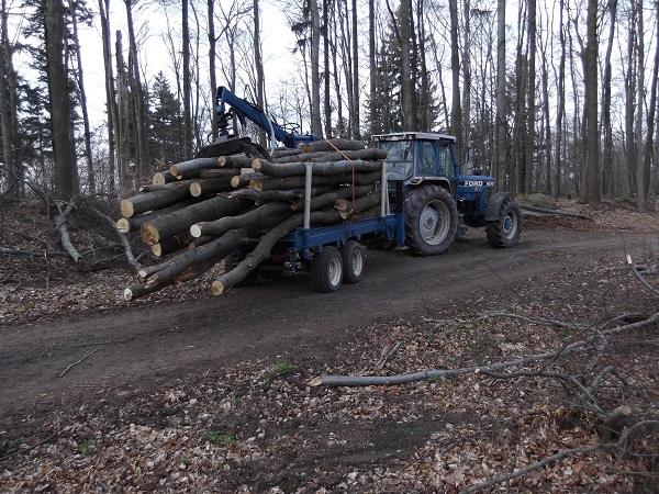 Holzabfuhr 2012 erster Teil 011.JPG