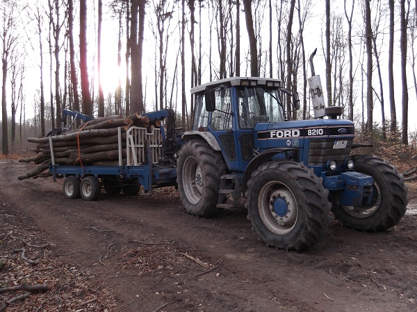 Holzabfuhr 2012 erster Teil 010.JPG