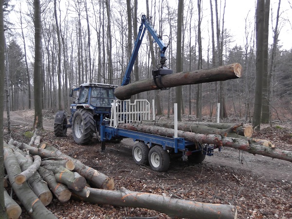 Holzabfuhr 2012 erster Teil 008.JPG