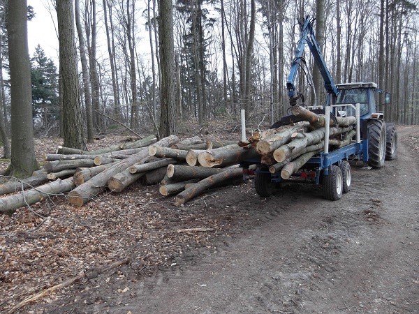 Holzabfuhr 2012 erster Teil 007.JPG