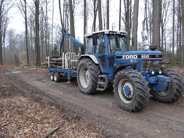 Holzabfuhr 2012 erster Teil 006.JPG