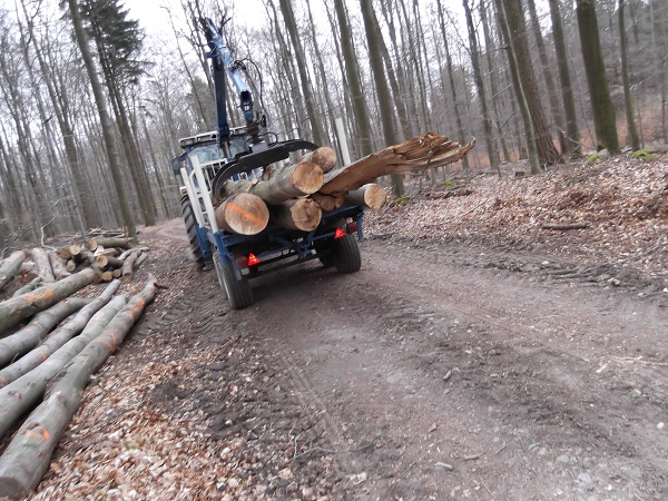 Holzabfuhr 2012 erster Teil 004.JPG
