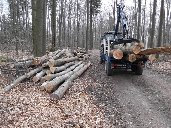 Holzabfuhr 2012 erster Teil 003.JPG