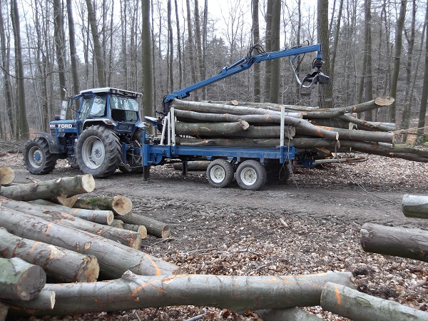 Holzabfuhr 2012 erster Teil 002.JPG