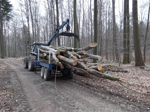 Holzabfuhr 2012 erster Teil 001.JPG