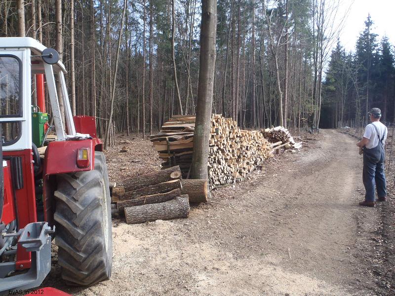 der Haufen_waechst_P4040066_2.JPG