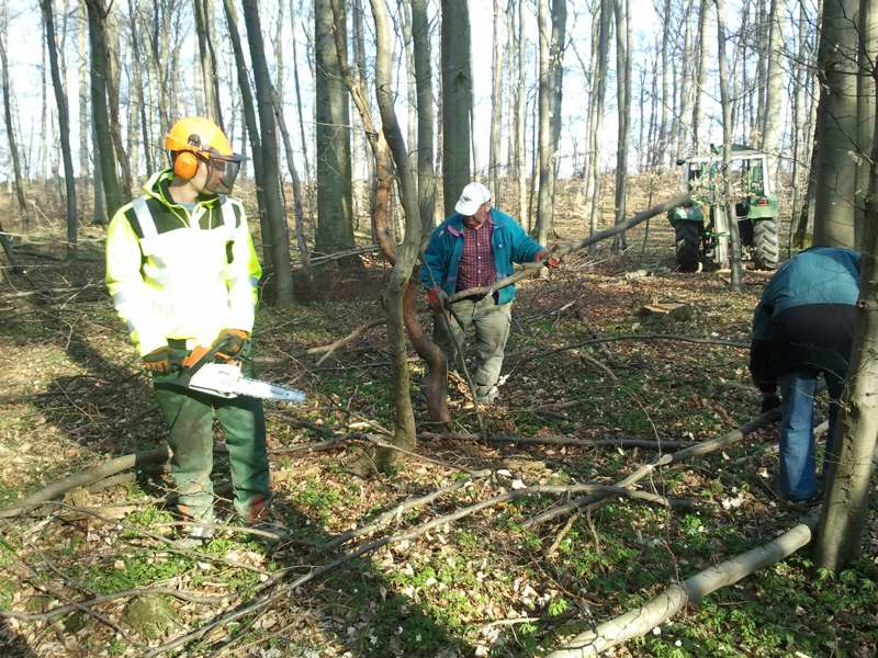 2012-04-03 09.13.30.jpg