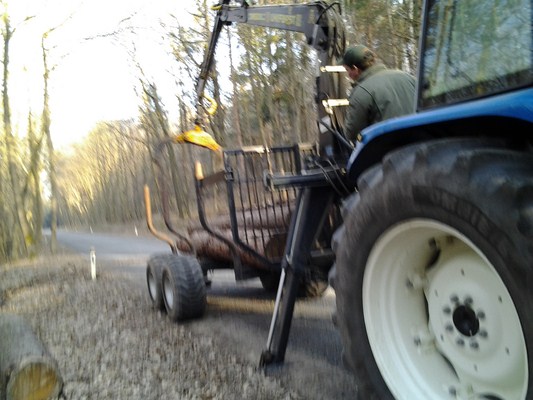 2012-04-03 07.59.11.jpg