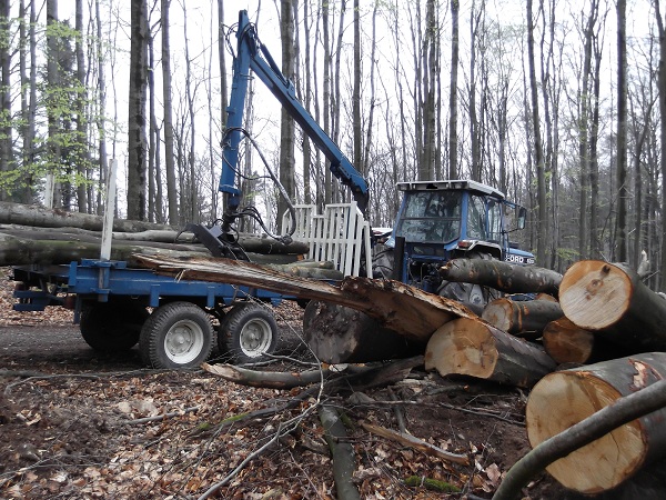 Holzabfuhr 2012 Teil 2 005.JPG