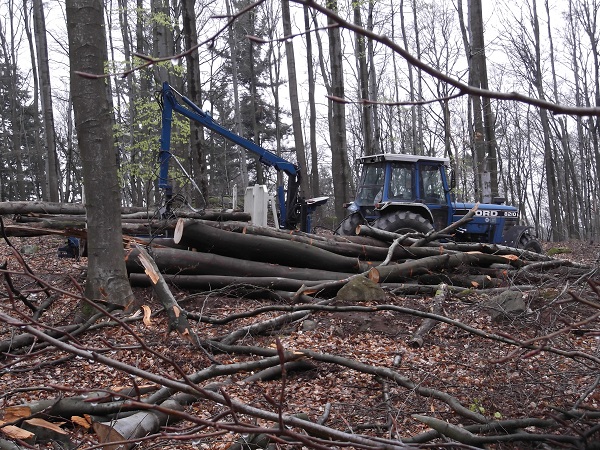 Holzabfuhr 2012 Teil 2 004.JPG