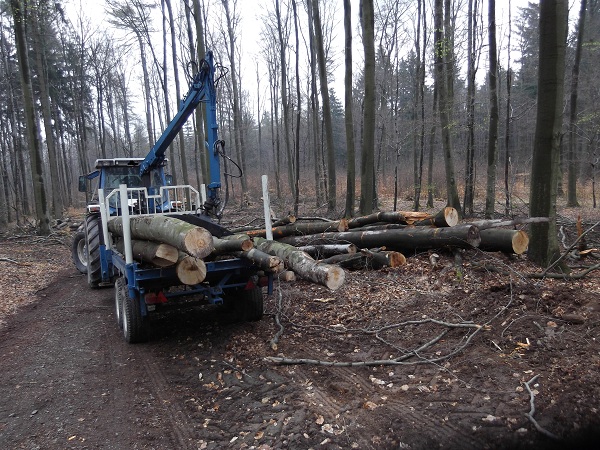 Holzabfuhr 2012 Teil 2 003.JPG